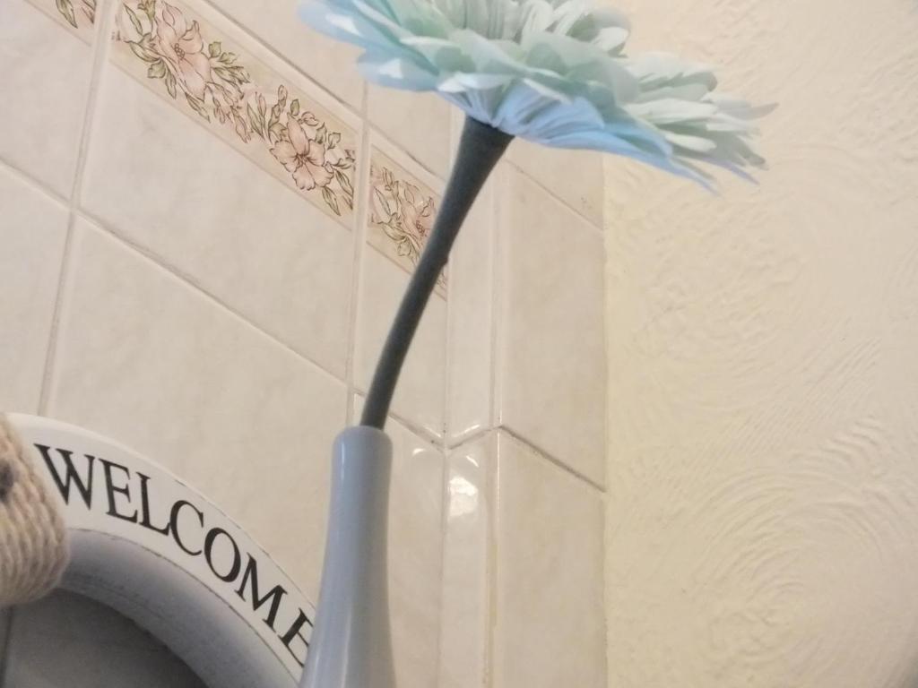 Leonardos Guest House Swansea Room photo